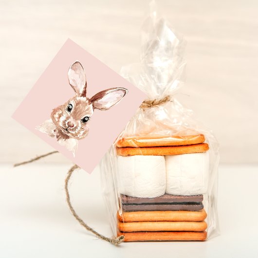 美しいパステルモダンピンクウォーターカラーバニーラブリー フェイバータグ