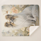 美しいパピロン シェルパブランケット (正面(横))