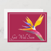 美しいパラダイスの花 ピンク背景 回復おめでとう ポストカード (正面/裏面)