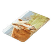 美しいパロミノファーム馬磁石 マグネット (左側)