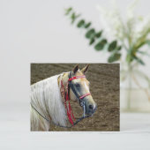 美しいパロミノホースポートレート写真 ポストカード (スタンド正面)