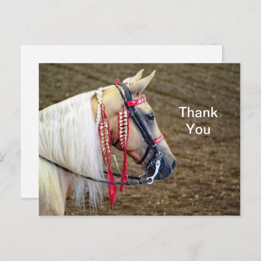 美しいパロミノ馬の写真ありがとう ポストカード (正面/裏面)