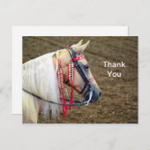 美しいパロミノ馬の写真をありがとう ポストカード (正面/裏面)