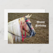 美しいパロミノ馬の写真 誕生日 ポストカード (正面/裏面)