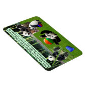 美しいパンダ聖なる書物、 経典マグネット詩編16:11 マグネット (右側)