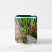 美しいヒキガエルのマグ ツートーンマグカップ (中央)