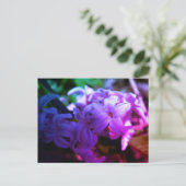 美しいヒヤシンス(Hyacinthus)花 ポストカード (スタンド正面)