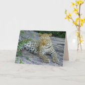 美しいヒョウのグリーティングカード カード (黄色い花)