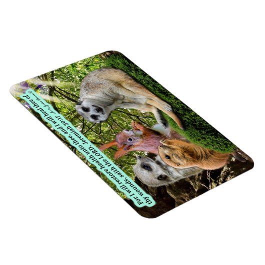 美しいヒーリング聖なる書物、 経典マグネットエレミヤ30:17 マグネット (右側)