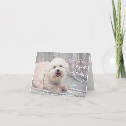 美しいビコンフリースバレリーナクリスマスカード シーズンカード (正面)