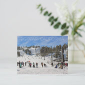 美しいビッグベアのポストカード！ ポストカード (スタンド正面)