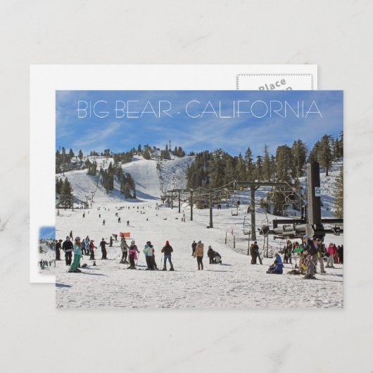 美しいビッグベアのポストカード！ ポストカード (正面/裏面)