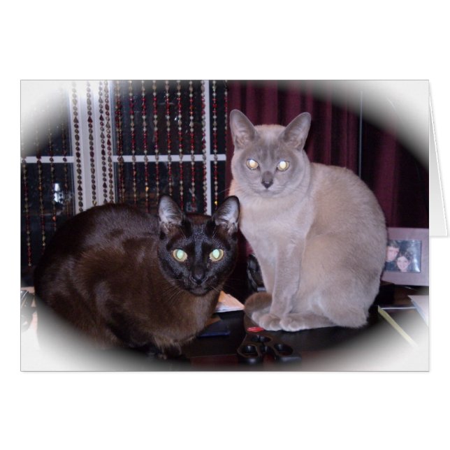 美しいビルマ語 (正面横)