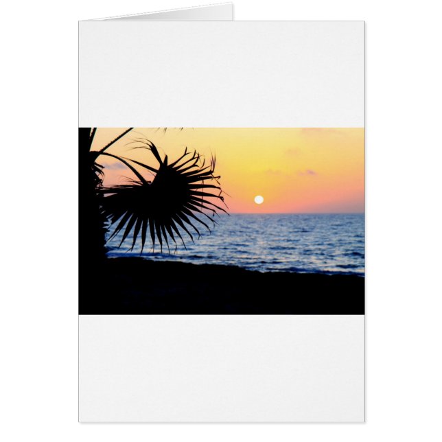 美しいビーチの日没 (正面)