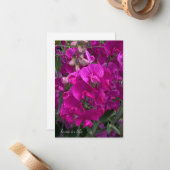 美しいビーチスイートピー ノートカード (正面/裏面インサイチュ)