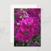 美しいビーチスイートピー ノートカード (正面/裏面)