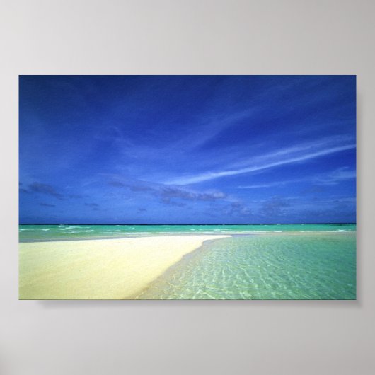 美しいビーチ ポスター (正面)