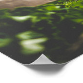 美しいビーチ ポスター (角)