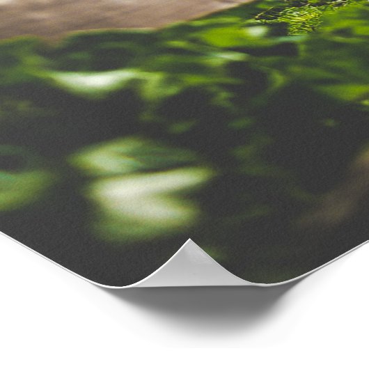 美しいビーチ ポスター (角)