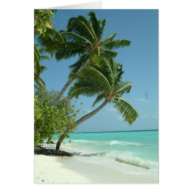 美しいビーチ、モルディブ (正面)