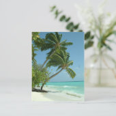 美しいビーチ、モルディブ ポストカード (スタンド正面)