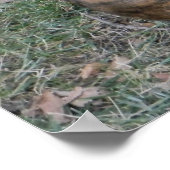 美しいピットブルボクサー雑種マット ポスター (角)