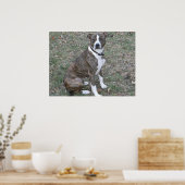 美しいピットブルボクサー雑種マット ポスター (キッチン)