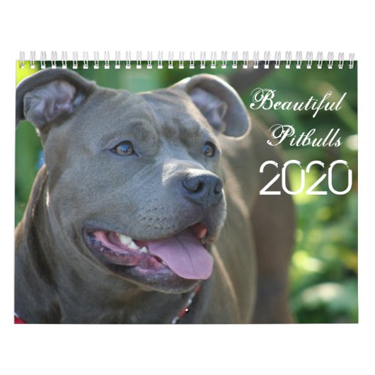 美しいピットブル2020犬カレンダー カレンダー (カバー)