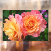 美しいピンクとオレンジのバラ写真 ウィンドウサイン (シート2)