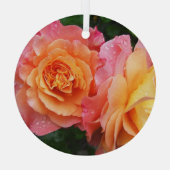 美しいピンクとオレンジのバラ写真 ガラスオーナメント (裏面)