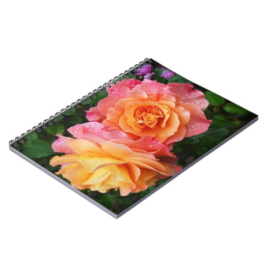 美しいピンクとオレンジのバラ写真 ノートブック (左側)