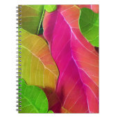 美しいピンクと緑の葉柄 ノートブック (正面)