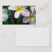 美しいピンクと黄色のプルメリア名刺 名刺 (正面/裏面)