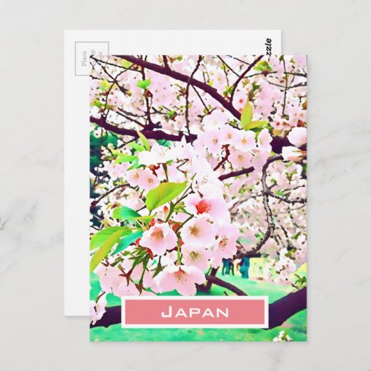 美しいピンクのさくらんぼ花日本の旅行 ポストカード (正面/裏面)