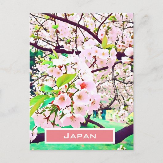 美しいピンクのさくらんぼ花日本の旅行 ポストカード (正面)