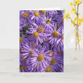 美しいピンクのアスターのグリーティングカード カード (黄色い花)