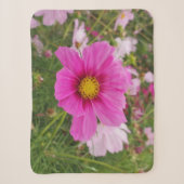 美しいピンクのコスモスの花 シェルパブランケット (正面)