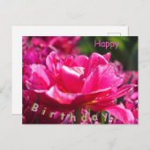 美しいピンクのチューリップのクローズアップ　誕生日ポストカード ポストカード (正面/裏面)