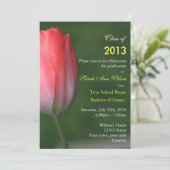 美しいピンクのチューリップの花の卒業パーティー 招待状 (スタンド正面)