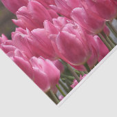 美しいピンクのチューリップ花 薄葉紙 (詳細)