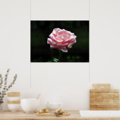 美しいピンクのバラがクローズアップ ポスター (キッチン)
