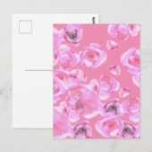 美しいピンクのバラのはがき ポストカード (正面/裏面)