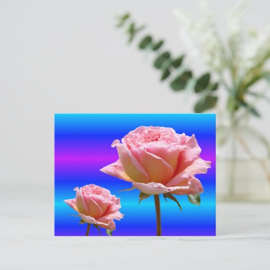 美しいピンクのバラのクローズアップDIYポストカード ポストカード (スタンド正面)