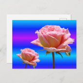 美しいピンクのバラのクローズアップDIYポストカード ポストカード (正面/裏面)