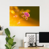 美しいピンクのバラの夕焼けロマンス ポスター (ホームオフィス)