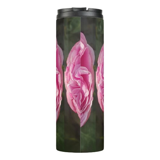 美しいピンクのバラの花のフローラ写真家の名前 タンブラー (裏面)