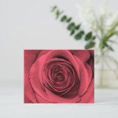 美しいピンクのバラの花のフローラ写真 ポストカード (スタンド正面)