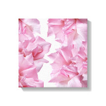 美しいピンクのバラの花びらのフローラ抽象芸術