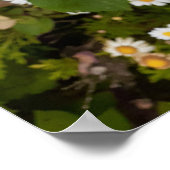 美しいピンクのバラの花園ポスター ポスター (角)