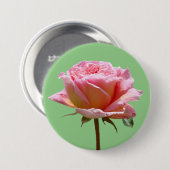 美しいピンクのバラの近くのお客様。BGボタン 缶バッジ (正面&裏面)